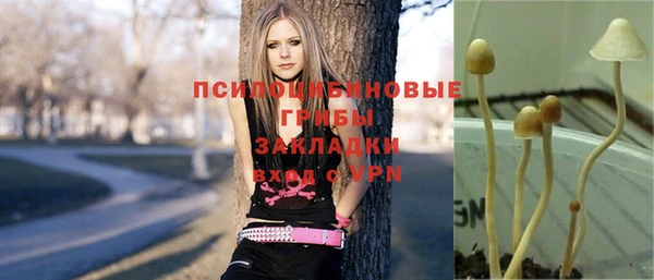 винт Балахна