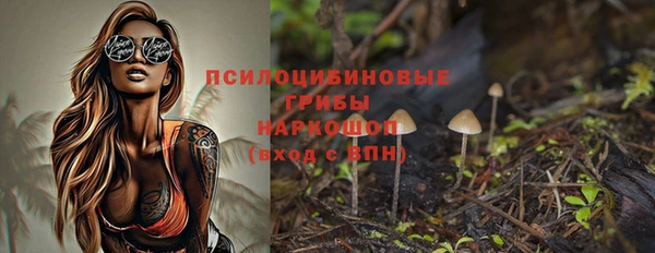 эйфоретик Баксан